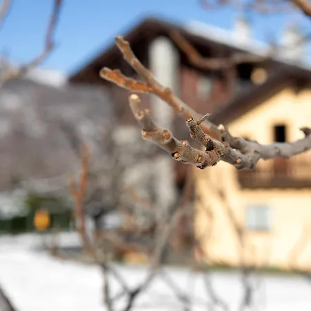 Appartement La Vigne De Papagran App3 *
