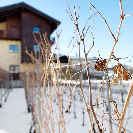 La Vigne De Papagran App3 Daire Aosta